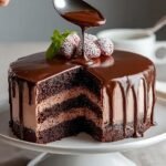 Drippy Chocolate Cake